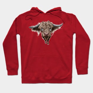 Sketchy Scottish bull Hoodie